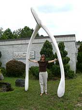 Giant Wishbone