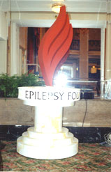 New logo for Epilepsy Foundation