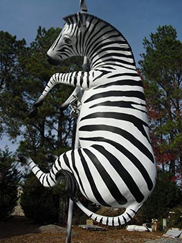 Zebra